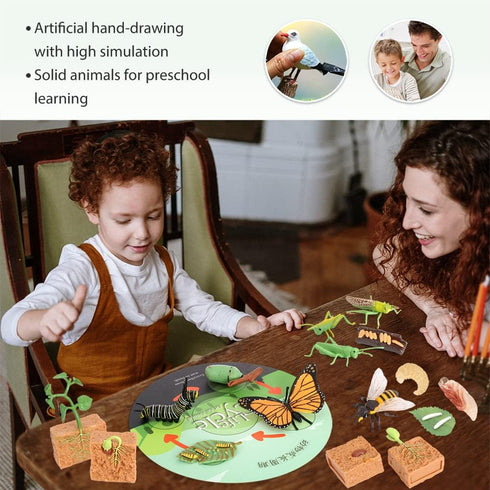 Volnau 16PCS Animal Figurines Toys Life Cycle Set for Toddlers Kids Plant Locust Butterfly Caterpillars Bee Educational