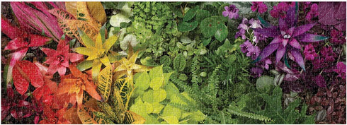 Galison Plant Life Panoramic Puzzle - 1000 Pieces, 39” x 14” Featuring Colorful Landscape Photograph
