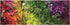 Galison Plant Life Panoramic Puzzle - 1000 Pieces, 39” x 14” Featuring Colorful Landscape Photograph