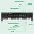 M SANMERSEN Kids Music Piano Keyboard, 61 Keys with Microphone, Portable Teaching Toy for Ages 3-12, Black