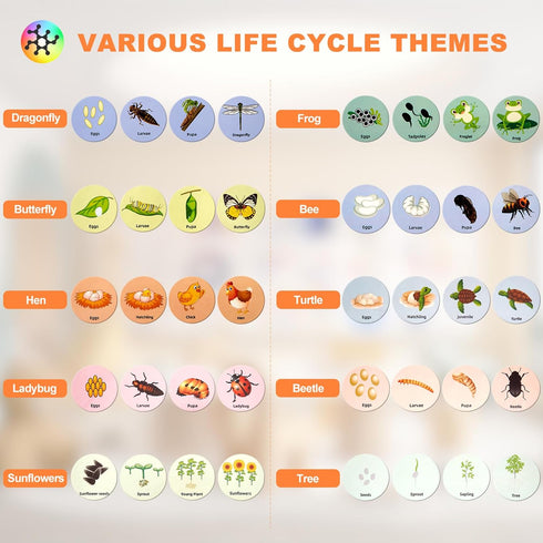 Life Cycle Toys for Kids Educational Science Kits, Montessori Toys for 3-6 Years
