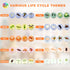 Life Cycle Toys for Kids Educational Science Kits, Montessori Toys for 3-6 Years