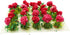 20Pcs Miniature Flower Cluster Grass Flower Tufts for Mini Dollhouse Fairy Garden Railway Simulated Static Scenery Micro Landscape Model (Red)