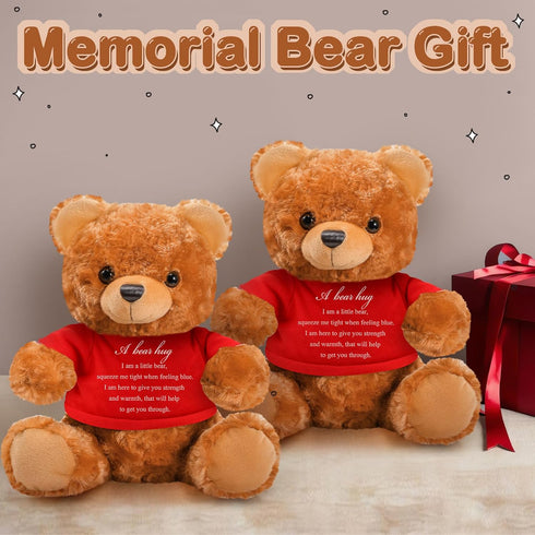 2 Pcs Little Bear Plush Stuffed Animal Sympathy Gifts, Memory Bear with Bear Hug Sign, Funeral Gift for Kids
