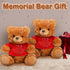 2 Pcs Little Bear Plush Stuffed Animal Sympathy Gifts, Memory Bear with Bear Hug Sign, Funeral Gift for Kids