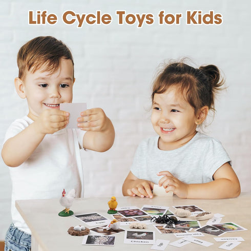 MEROCO Chicken Life Cycle Toys for Kids 3-5 - Animal Flashcards with Figurines, Preschool Learning Game