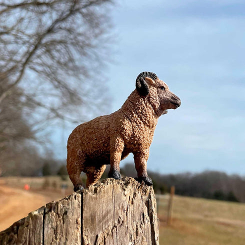 3.5" 1+ Safari Ltd. Ram Figurine - Lifelike Model Figure - Educational Toy for Boys, Girls, and Kids Ages