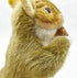 Hansa Brown Squirrel with Nut Plush - 9"