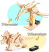 8-10-12, 4 1 8-12, 3D Dinosaur STEM Kits for Kids Ages in Wood Building Toys for Boys Age Build It Yourself Woodworking