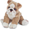 Bearington Tug The English Bulldog Plush, 13 Inch, Stuffed Animal for Kids