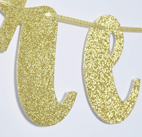 Law School Graduation Banner, Future Lawyer Glitter Gold Banner, Party Decorations (Gold)