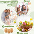 24 Syhood Pcs Wooden Fake Eggs Wood Chicken Eggs for Crafts Unpainted Egg with Blank Egg Cartons for Crafts Get Hens