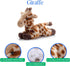 8 inches The Petting Zoo Giraffe Stuffed Animal Plushie, Gifts for Kids, Scoopz Wildlife Animals, Giraffe Plush Toy