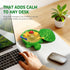 HouseBegan Mini Turtle Sandbox Zen Garden for Desk, Desktop Turtle Sandbox with Lid on The Go for Office Stress Relief