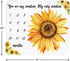 51''x40'' Tebaby Baby Monthly Milestone Blanket Girl - Sunflower Newborn Month Blanket Personalized Shower Gift Floral