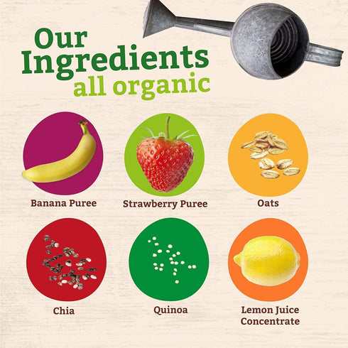 4 (Pack 10) Pumpkin Tree Organics Super Oats & Seeds, Banana & Strawberry, Ounce