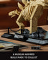 Set, Set (665 NF10353) Nifeliz Stegosaurus Fossils Model Dinosaur Skeleton Building with Display Base for Adults, Ideal