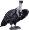 MOJO Griffon Vulture Realistic International Wildlife Toy Replica - Hand Painted Figurine