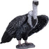 MOJO Griffon Vulture Realistic International Wildlife Toy Replica - Hand Painted Figurine