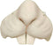 Forum Novelties 24728 Mouse/Rat Nose Party Supplies, One Size