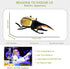 Flormoon Realistic Animal Figures, Hercules Beetle Figurines, Science Project, Cake Topper, Educational Toys for