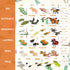 MIKNEKE 6 Count, 3+ Montessori Animal Life Cycle Figurines, Plastic Miniature Educational Toys, Ages