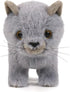Ice King Bear Fluffy Cat Stuffed Animal, Small Plush Toy 6 Inches (Gray)