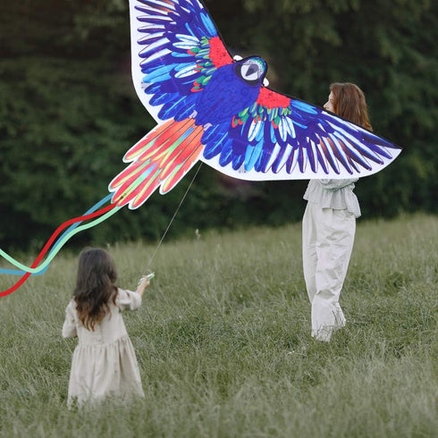 JEKOSEN Huge Parrot Kite for Kids and Adults, Easy to Fly Single Line String with Tail for Outdoor Activities