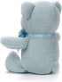 100% Organic Cotton Blue Teddy Bear Baby Toys, 6.5" Stuffed Animals for Newborn