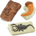Ammonite, 3+ Safari Ltd. Ancient Fossils TOOB - Figurines: Dino Footprint, Giant Crab, Raptor Claw, T-Rex Tooth, Frog
