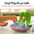 Bryte Light Up Unicorn Terrarium Kit for Kids - Grow Plant, Castle, Paint Set, Fairy Garden Lights, Arts & Crafts