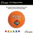 Champion Sports 8-1/2" Playground Ball
