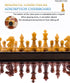PGDOV Sets 9.5 Inches Set 2-Player Chess Magnetic Board Games - Travel Chess for Teenager & Adults, Wooden-Style