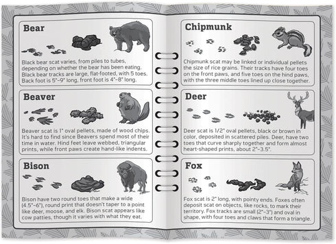 Masterpieces Jr Ranger Poop Tracks Card Game - Ages 6+, 2-6 Players, Medium