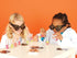Blue Orange Dr. Eureka Speed Logic Puzzle Game for 1-4 Players, Ages 8+