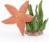 Gemini&Genius Starfish Toys for Kids - Realistic Starfish Figurine Toy - Under The Sea Life Figure Educational Gifts