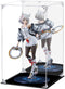 Acrylic Display Case for Collectibles Assemble Clear Acrylic Display Box with Mirrored
