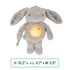 8 0+M Ingenuity Sylvi Cuddle Pal Daytime Baby Soother, Cry Activated, Soothing Songs, - Plush Bunny