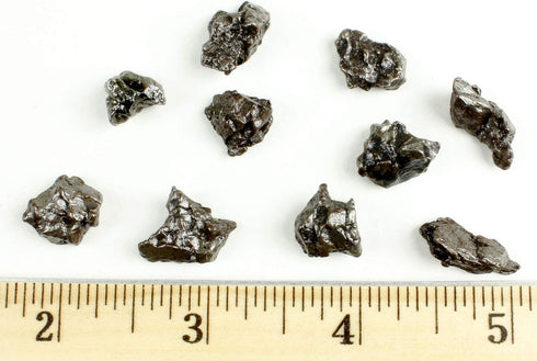 DANCING BEAR Meteorite from Space, 5 pcs Campo del Cielo from Argentina, Educational Card & Magnifying Box