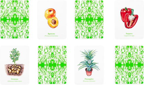 Laurence King Gardener's Match A Fruit and Vegetable Memory Game