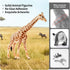 12PCS Set, Playset Realistic Safari Animals Figures Learning Toys Large African Animal Toys, Wild Zoo Animal Toys