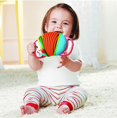 Skip Hop Hedgehog Accordion Musical Toy for Babies - Explore & More
