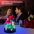Water Bottle Sets 593 Flower Bouquets Building with LED String Light and Dust Cover, Pcs Flower Mini Brick Block, Red