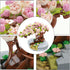 Mini Building Blocks Sakura Plant Bonsai Model Set,Creative DIY Simulation Cherry Blossom Flower Botanical Collection Construction Building Bricks Toy for Kids Adult Home Decor