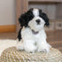 DEMDACO Sitting Small Havanese Dog Plush Stuffed Animal - Black and White