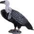 MOJO Griffon Vulture Realistic International Wildlife Toy Replica - Hand Painted Figurine