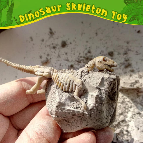 65 HFKPJRT Pcs Dinosaur Bones for Sandbox, Mini Dinosaurs Bones for Kids, Mini Dinosaur Skeleton Figures for Science