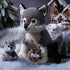Honoson 5 Pcs Wolf Plush Set - 14 Inch Mommy Wolf Stuffed Animal with 4 Cute Baby Wolves, Soft Plushie Gift