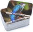 Menique Wild Animals Memory Matching Game, 80 Cards with Real Photos, Educational Booklet Included for Kids & Adults