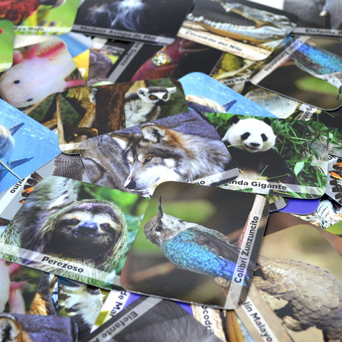 Juego de Memoria de Animales Salvajes en español - Wild Animals Memory Matching Game